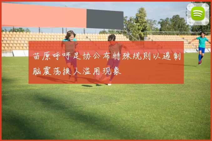 苗原呼吁足协公布特殊规则以遏制脑震荡换人滥用现象